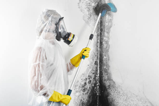 Best Water Damage & Mold Remediation  in Garden City, ID