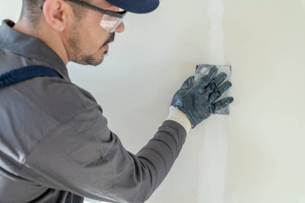 Best Asbestos and Lead Testing During Mold Inspection  in Garden City, ID