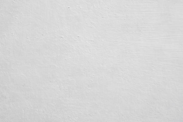 Best Basement Mold Removal  in Garden City, ID
