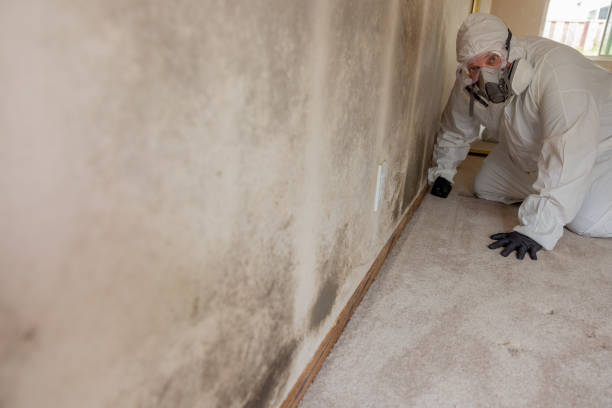 Best Air Quality Testing for Mold Spores  in Garden City, ID